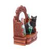 Absinthe (LP) 21.5cm Cats Gifts Under £100