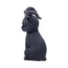 Pawzuph 11cm Cats Best Sellers