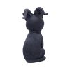 Pawzuph 11cm Cats Best Sellers