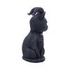Pawzuph 11cm Cats Best Sellers