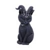 Pawzuph 11cm Cats Best Sellers