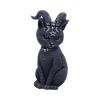 Pawzuph 11cm Cats Back in Stock