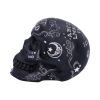 Spirit Board Skull 20cm Skulls Father's Day