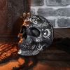 Spirit Board Skull 20cm Skulls Father's Day