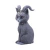 Pawzuph 26.5cm (Large) Cats Back in Stock