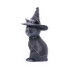 Purrah 13.5cm Cats Best Sellers