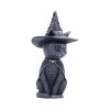 Purrah 13.5cm Cats Best Sellers