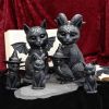 Purrah 13.5cm Cats Best Sellers