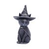 Purrah 13.5cm Cats Best Sellers