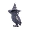 Owlocen 13.5cm Owls Back in Stock