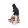 Spirits of Salem (LP) 16.5cm Cats Gifts Under £100