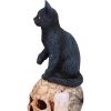 Spirits of Salem (LP) 16.5cm Cats Gifts Under £100