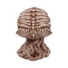 Cthulhu Skull (JR) 20cm Horror Macabre Papas