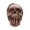Breaking Out Skull (JR) 20cm Skulls April Flash Sale Day 5