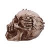 Breaking Out Skull (JR) 20cm Skulls April Flash Sale Day 5