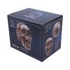 Breaking Out Skull (JR) 20cm Skulls April Flash Sale Day 5