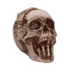Breaking Out Skull (JR) 20cm Skulls April Flash Sale Day 5