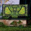 Absinthe - La Fee Verte Embossed Purse 18.5cm Unspecified Stock Arrivals