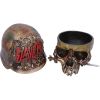 Slayer Skull Box 17.5cm Band Licenses Licensed Rock Bands