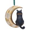 Moon Cat Hanging Ornament (LP) 9cm Cats Cats