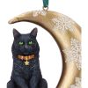 Moon Cat Hanging Ornament (LP) 9cm Cats Cats