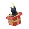 Present Cat Hanging Ornament (LP) 9cm Cats Gifts Under £100