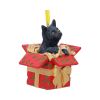 Present Cat Hanging Ornament (LP) 9cm Cats Gifts Under £100