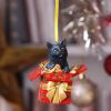 Present Cat Hanging Ornament (LP) 9cm Cats Gifts Under £100