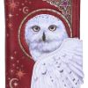 Magical Flight Embossed Purse 18.5cm Owls Gifts Under £100