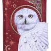 Magical Flight Embossed Purse 18.5cm Owls Stock Arrivals