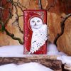Magical Flight Embossed Purse 18.5cm Owls Stock Arrivals