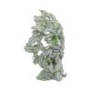 Forest Ancient 30cm Tree Spirits Statues Large (30cm to 50cm)