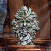 Forest Ancient 30cm Tree Spirits Statues Large (30cm to 50cm)
