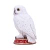 Wizard's Familiar 10cm Owls Stock Arrivals