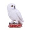 Wizard's Familiar 10cm Owls Stock Arrivals
