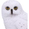 Wizard's Familiar 10cm Owls Stock Arrivals