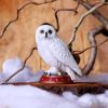 Wizard's Familiar 10cm Owls Stock Arrivals