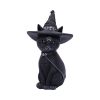 Purrah 30cm (Large) Cats Top 200