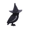 Owlocen 30cm (Large) Owls Stock Arrivals