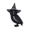 Owlocen 30cm (Large) Owls Stock Arrivals