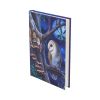Fairy Tales Journal (LP) 17cm Fairies April Flash Sale Day 2
