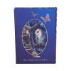 Fairy Tales Journal (LP) 17cm Fairies April Flash Sale Day 2