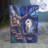 Fairy Tales Journal (LP) 17cm Fairies April Flash Sale Day 2