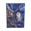 Fairy Tales Journal (LP) 17cm Fairies April Flash Sale Day 2