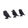 Three Wise Ravens 8.7cm Ravens Back in Stock