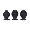 Three Wise Ravens 8.7cm Ravens Back in Stock