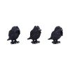 Three Wise Ravens 8.7cm Ravens Back in Stock