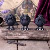 Three Wise Ravens 8.7cm Ravens Back in Stock