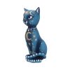 Celestial Kitty 26cm Cats Back in Stock