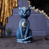 Celestial Kitty 26cm Cats Back in Stock